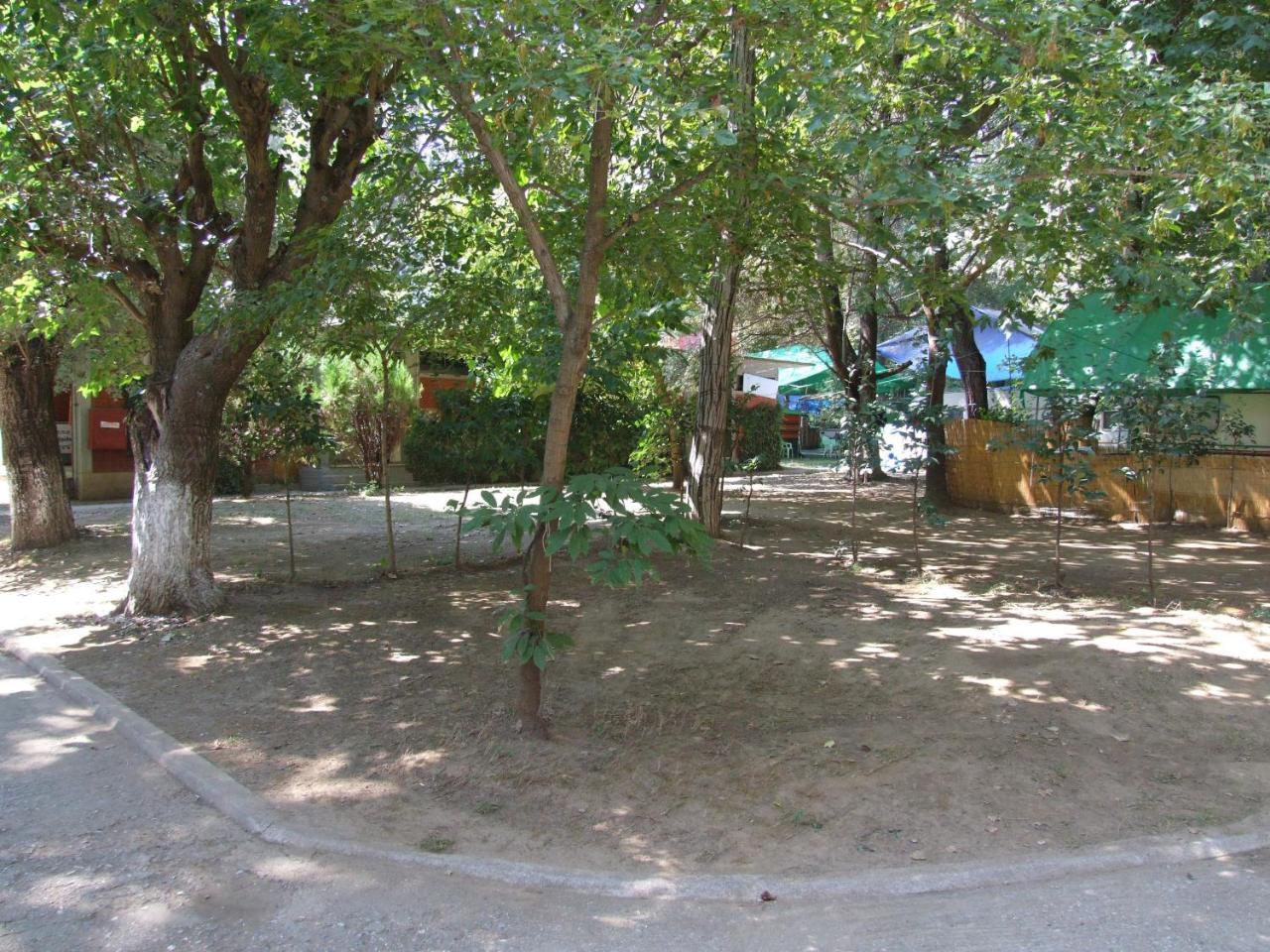 Camping Orpheus Apartments Neos Panteleimonas Bagian luar foto